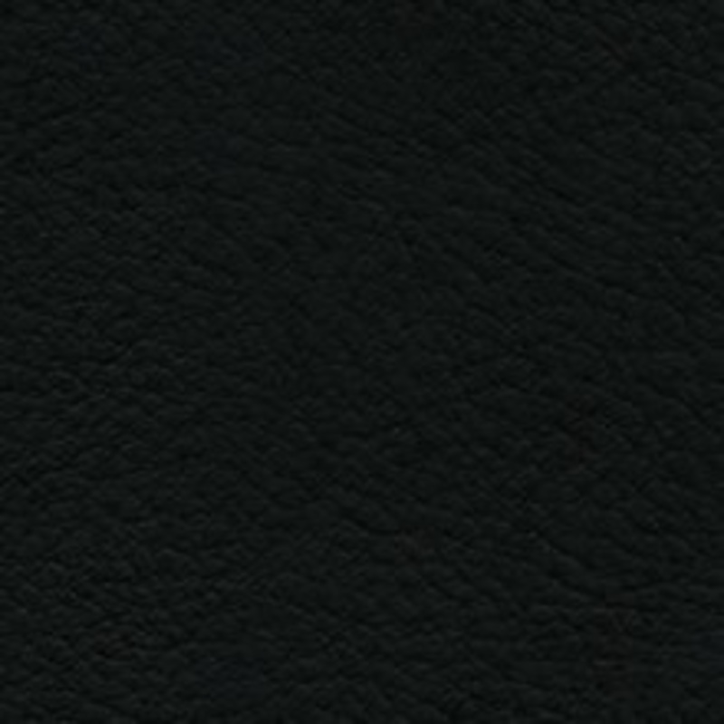 Nassimi Fabric Verve Raven