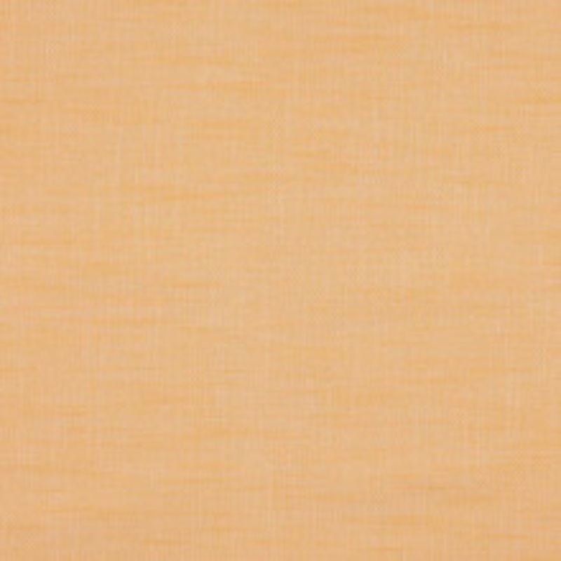 JF Fabric Paparazzi 19J7301