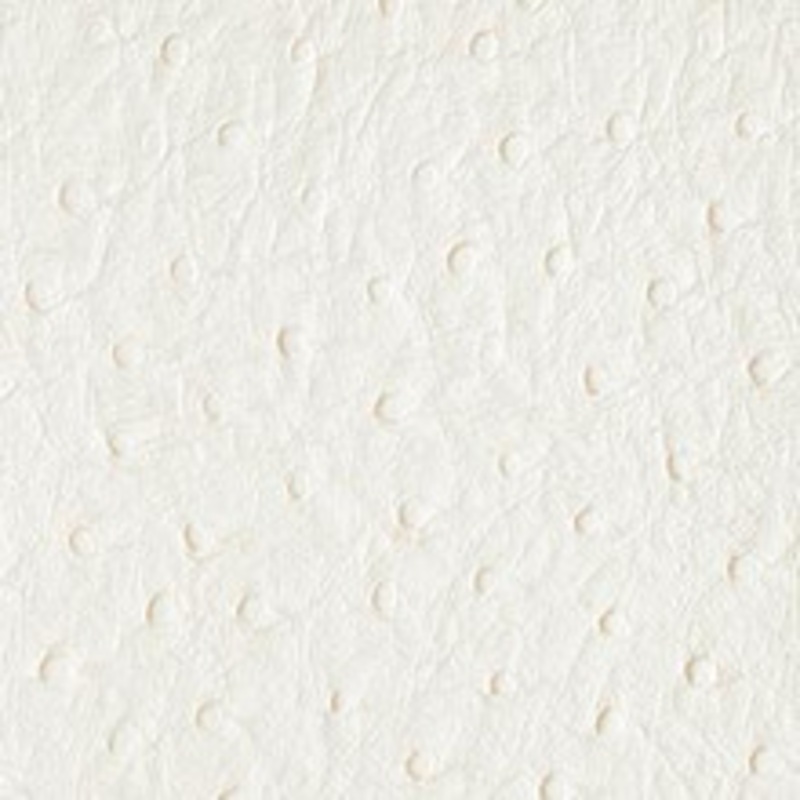 Nassimi Fabric Bondi White Heron