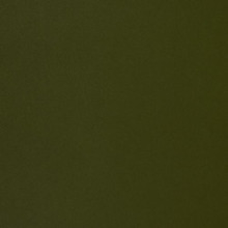 Nassimi Fabric Seduction Sassafrass