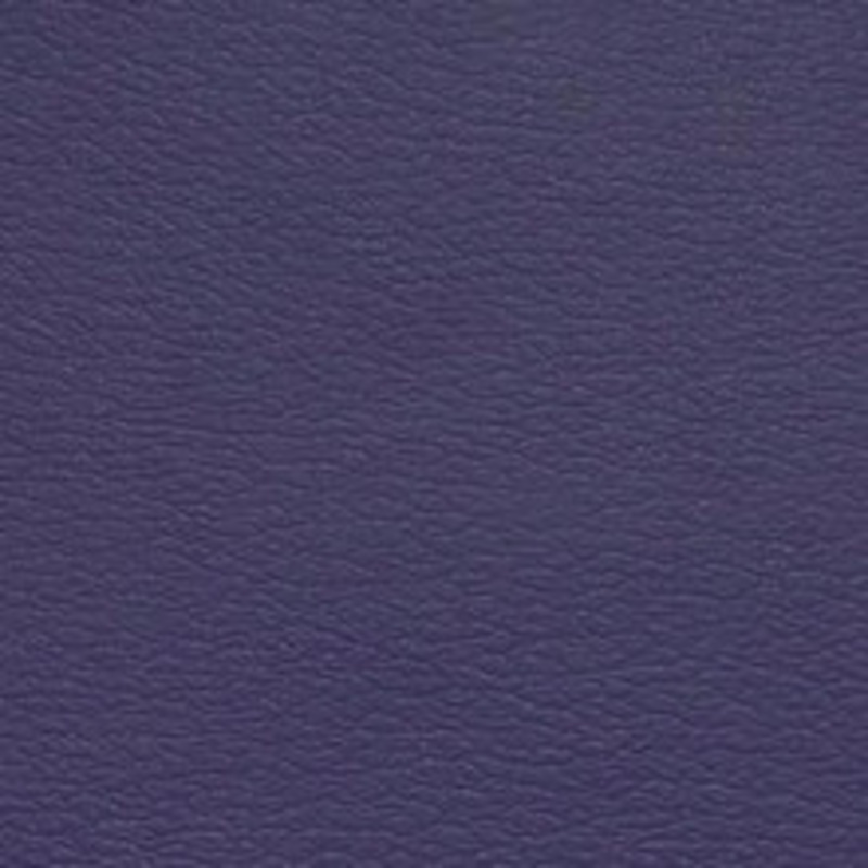 Naugahyde Fabric Spirit Millennium Crocus