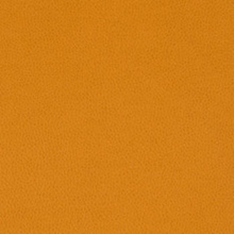 Nassimi Fabric Tolstoy Kumquat