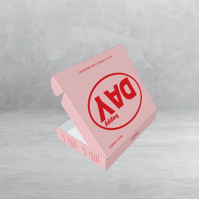 Eco Gift Packaging Box Foldable Print Airplane Corrugated Cardboard Mailing Box – Box and Packaging price