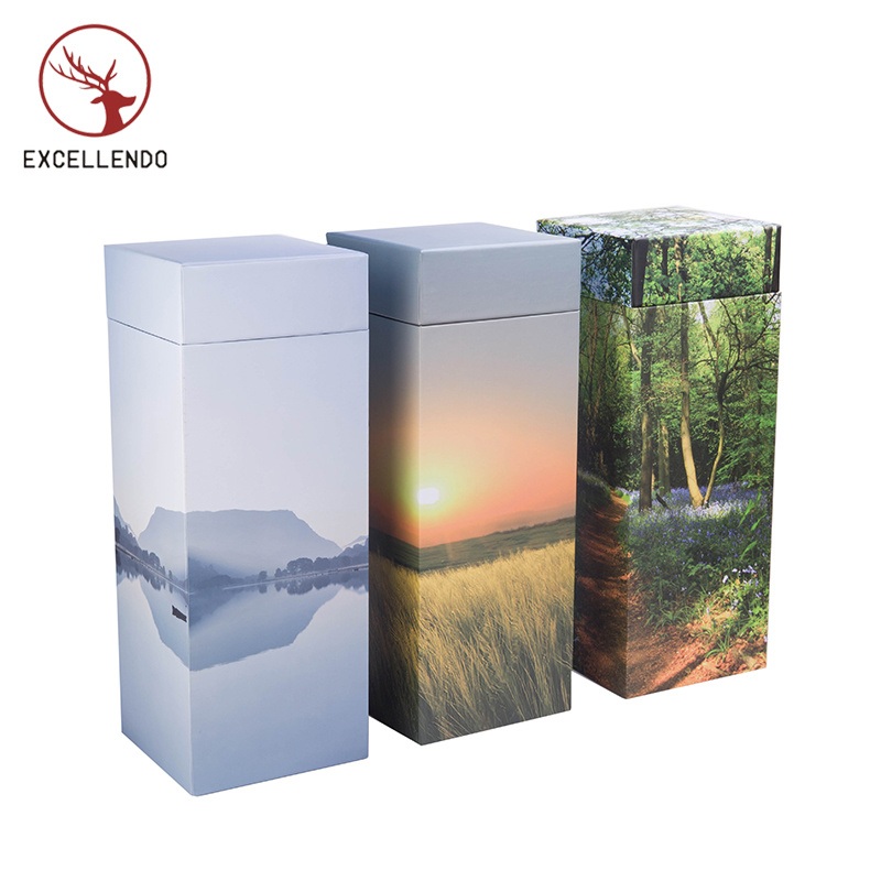 Wholesale Gift Box with Lid in Custom Printing Box for Gifts – Cosmetic Packaging and Packaging Box price