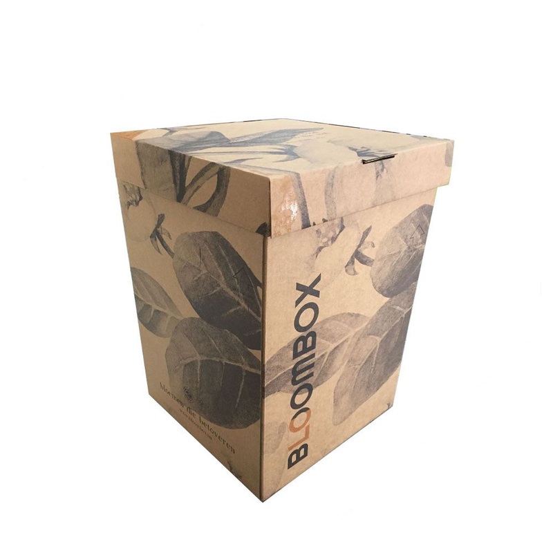 E-Commerce Packaging Shipping Carton Boxes – Cardboard Boxes and Gift Box price