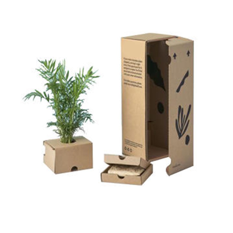 Custom Corrugated Recycled Carton Package Box with Inserts for Green Plants – Mailer Box and Bottle Box price