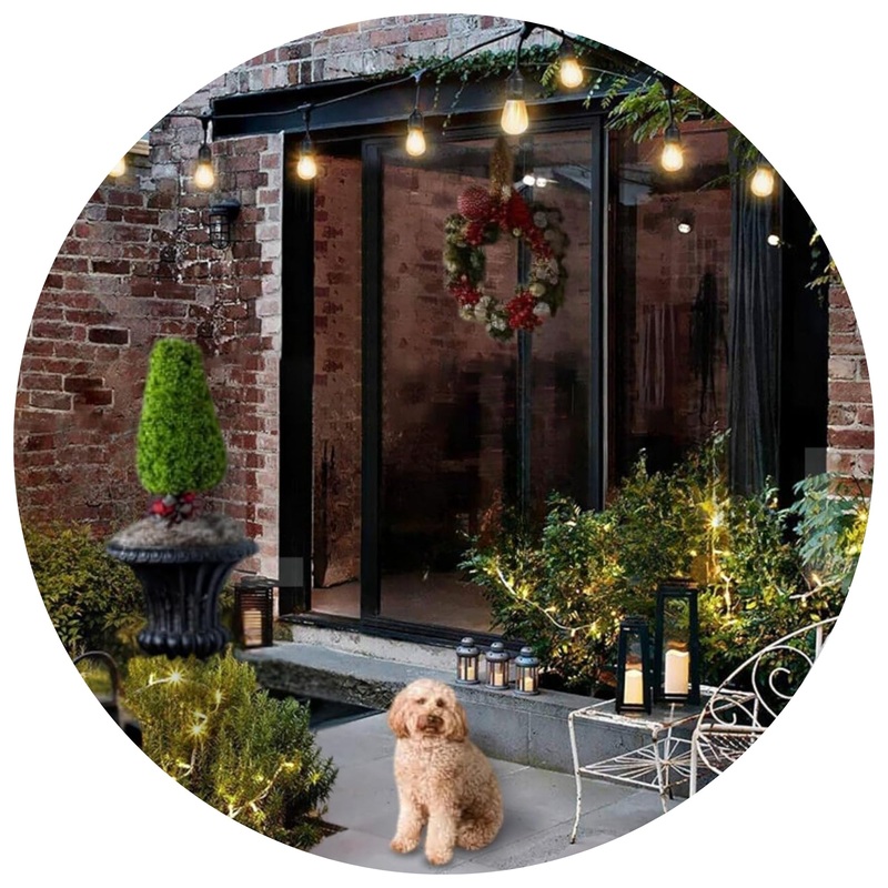 Holiday Bright Lights S14 Indoor/Outdoor Patio Bulbs Lightning Filament E26 – Warm White 25 Per Box