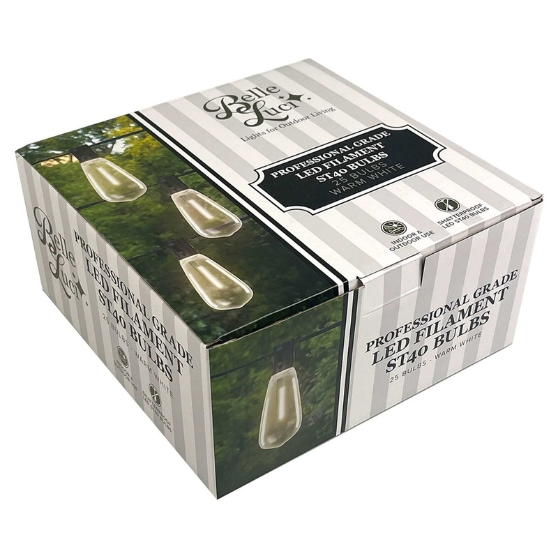 Holiday Bright Lights ST40 Indoor/Outdoor Patio Edison Style Bulbs Single Filament, Warm White, 25 Per Box