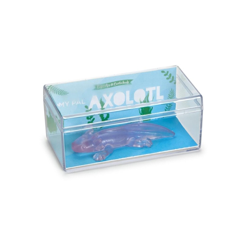 Two’s Company Awesome Axolotl 36-Pieces Translucent Axolotl in Storage Container In 4 Colors