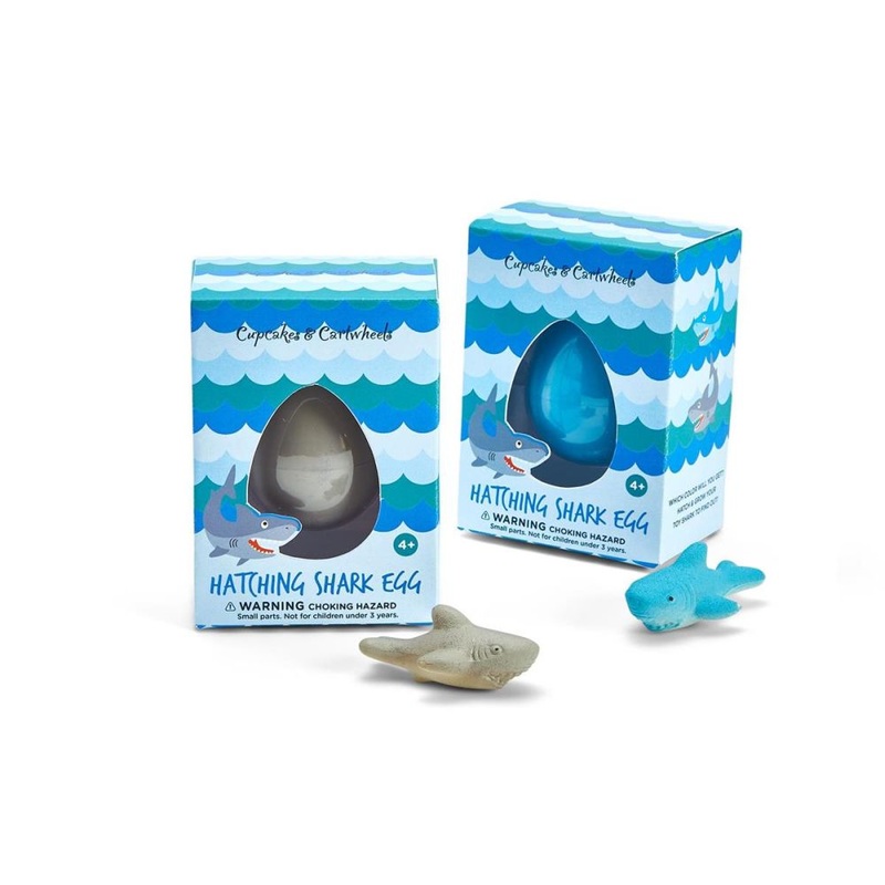 Two’s Company Grow Your Own Shark 24-Pieces Hatching Shark Egg in Gift Box In 2 Colors