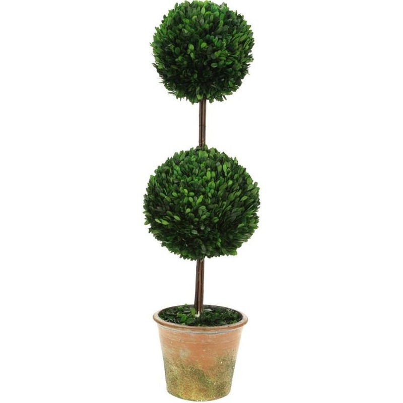 Mark Roberts Spring 2020 Tall Double Boxwood Topiary, 42 inches