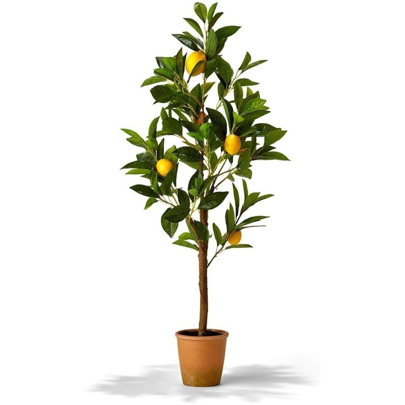 Two’s Company Faux Lemon Tree in Terracotta Pot,35 inches,PE/Foam/Polyester/Iron