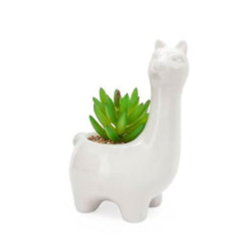 Torre & Tagus Animal Garden Cer Llama Faux Potted Succulent, White, 6 x 4.5
