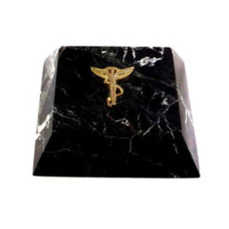 Black Zebra Marble Chiropractor Paperweight, Gold Emblem