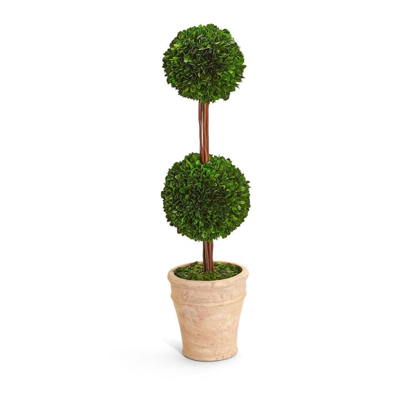 Two’s Company 31.5 inches Preserved Boxwood Double Ball Topiary