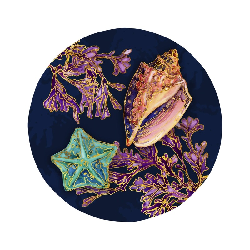 Merritt International Spectrum Shell 8.5 in Salad Plate – Star Fish Melamine Set Of 6