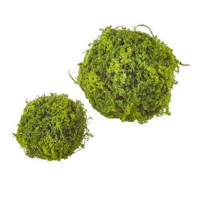 Raz Imports Back At The Ranch 7.5 Moss Ball, Set of 2