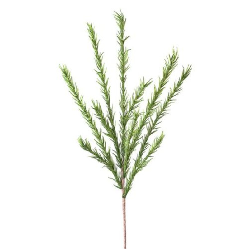 Torre & Tagus Desert Pine Stem