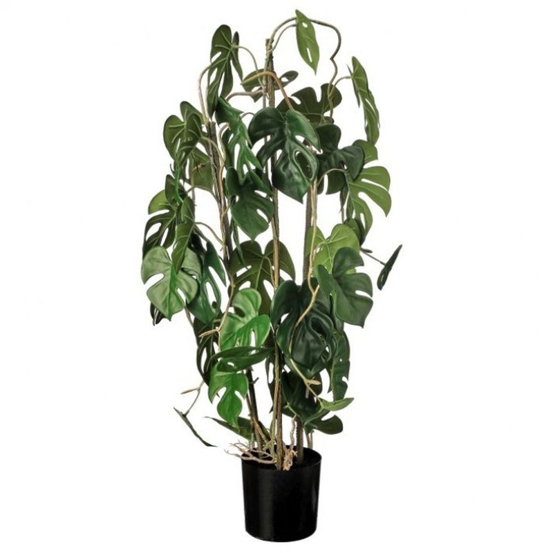 Regency International Potted Climbing Split Philo Plant 41 Inch