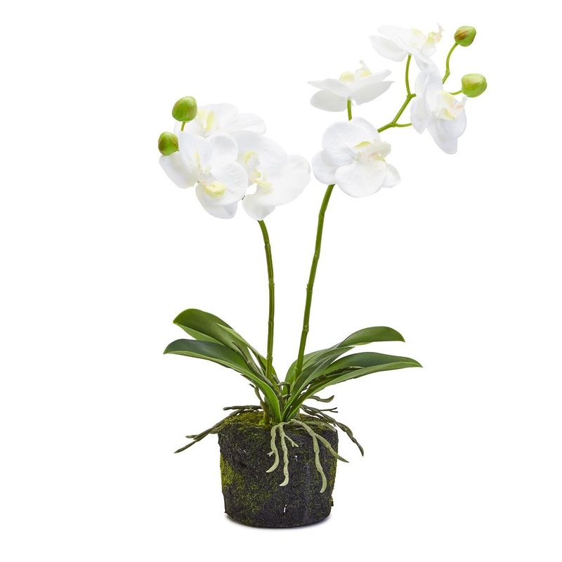 Two’s Company White Butterfly Faux Orchid