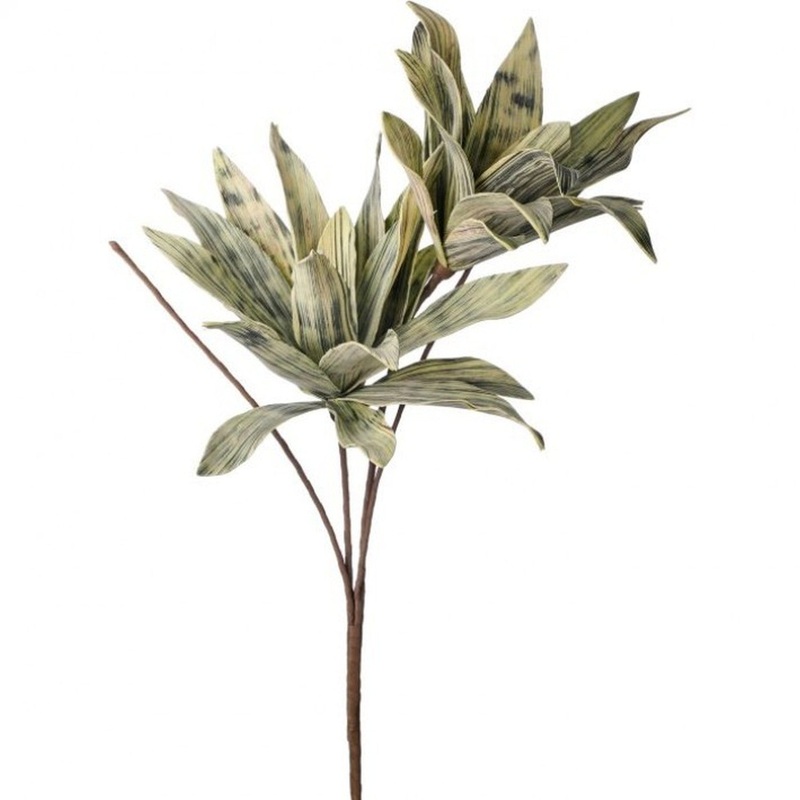 Regency International Foam Variegated Yucca 46