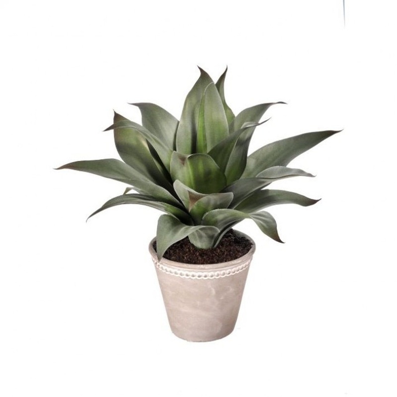 Regency International Plastic Century Plastic in Ceramic Pot 13.5