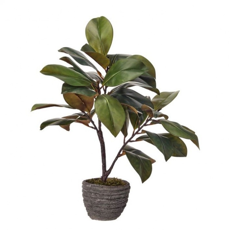 Regency International Plastic Natural Touch Magnolia Leaf Plant in Cement 24