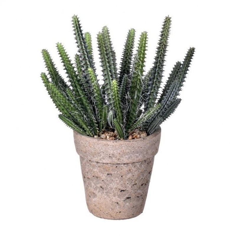 Regency International Plastic Pipe Cactus In Cement Pot 10.5