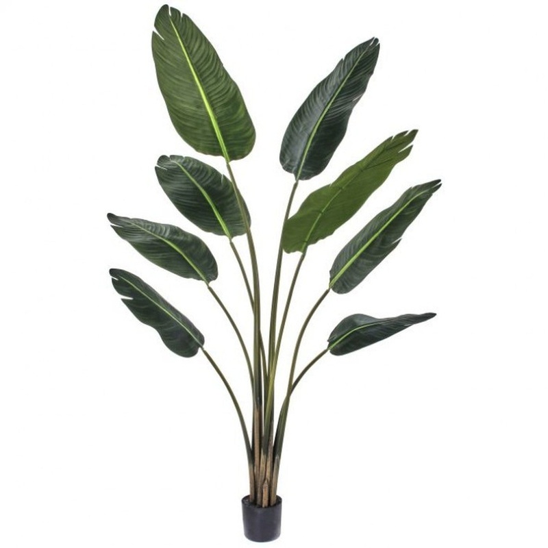 Regency International Potted Travelers Palm Tree 5′ Kd