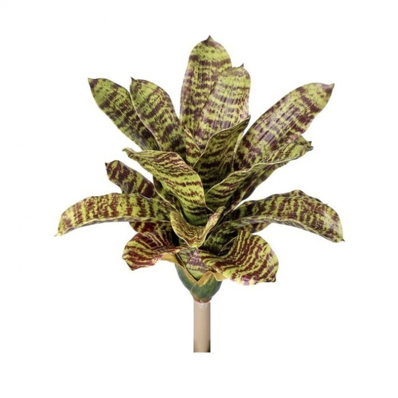 Regency International Plastic Pineapple Bromeliad Plant 15