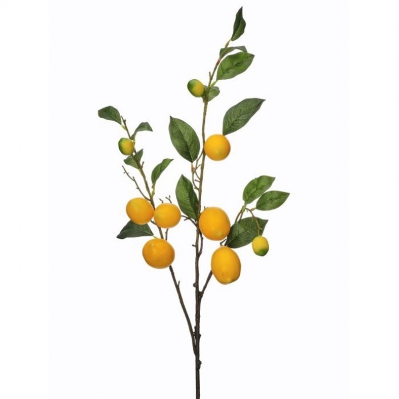 Regency International Triple Lemon Branch 41