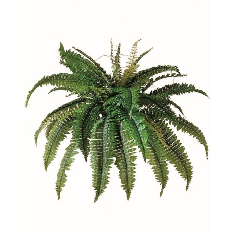 Regency International Foliage Greenery Estate Boston Fern, 34 Two-toned Green
