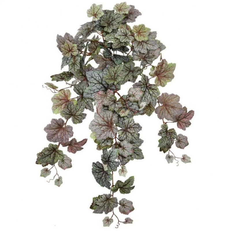 Regency International Foliage Greenery Hanging Rex Begonia Plant 24