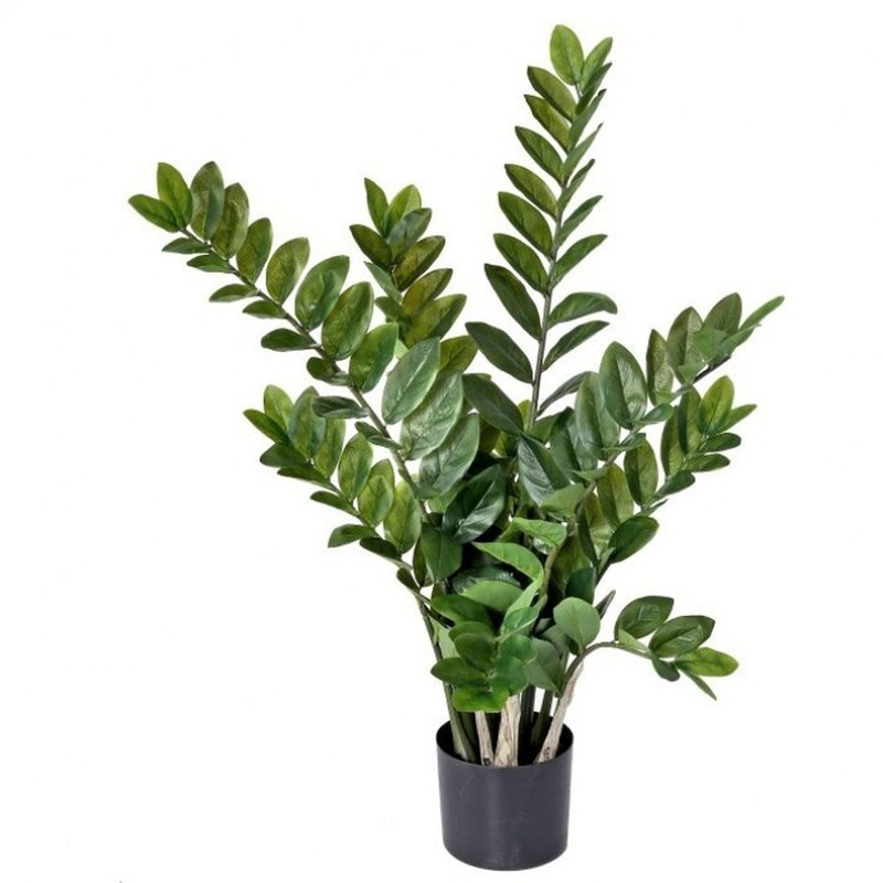Regency International Foliage Greenery Potted Zami folia Plant 31