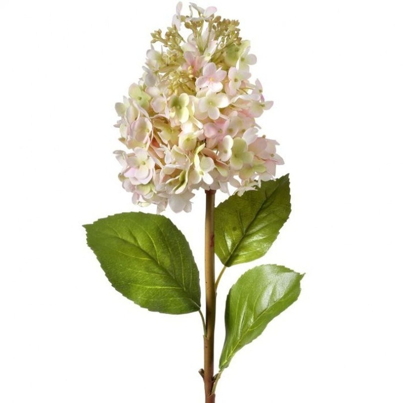 Regency International Just Cut Snow Queen Hydrangea 25 Blush