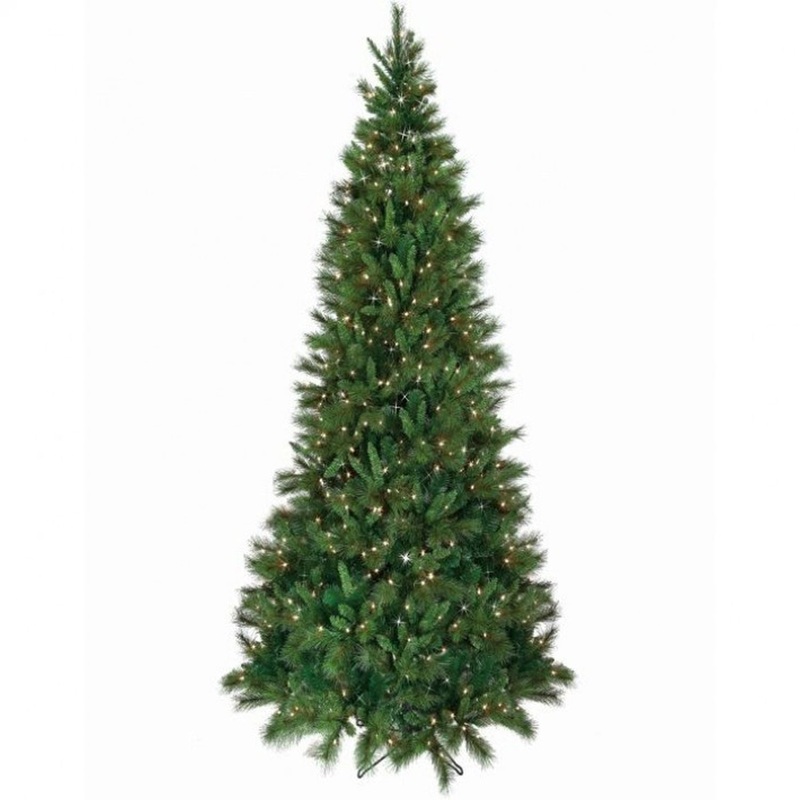 Regency International Lit Slim Belgium Mix Tree 10’X55D