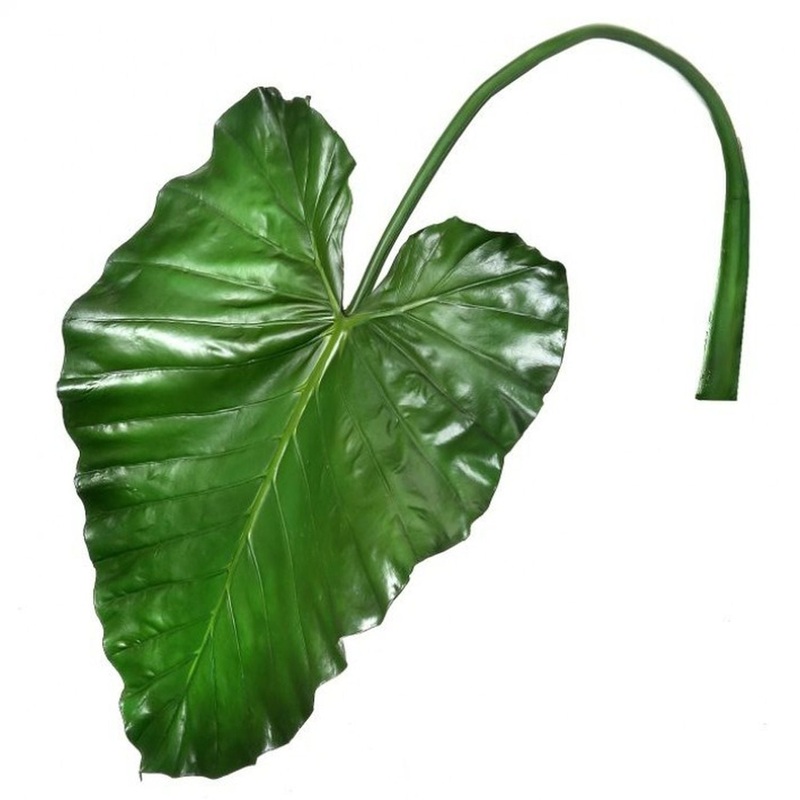 Regency International Taro Leaf Stem 43