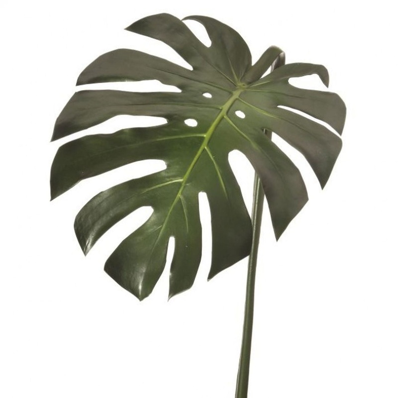 Regency International Pe Split Philo Leaf 36