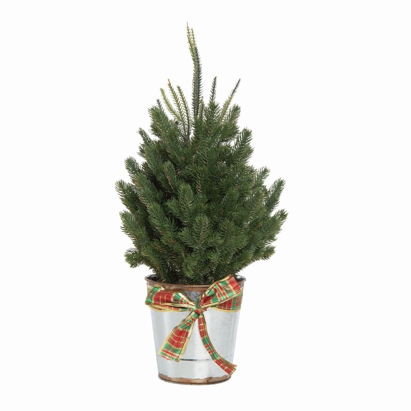 Transpac Holiday Tree In Metal Bucket