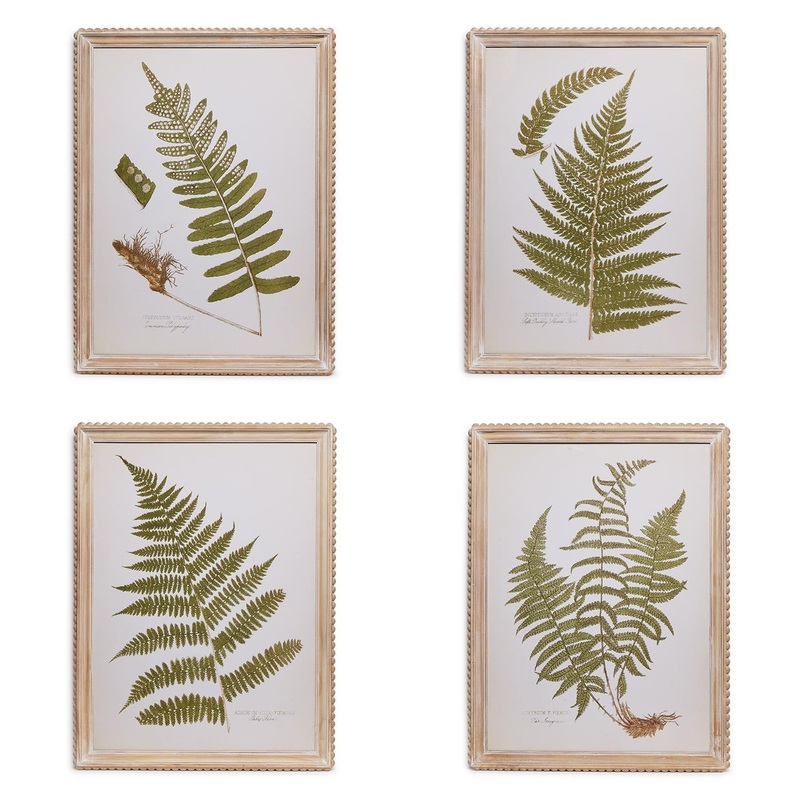 Two’s Company Set Of 4 Fanciful Fern Wall Art – Fir Wood/Paper/Glass/Mdf
