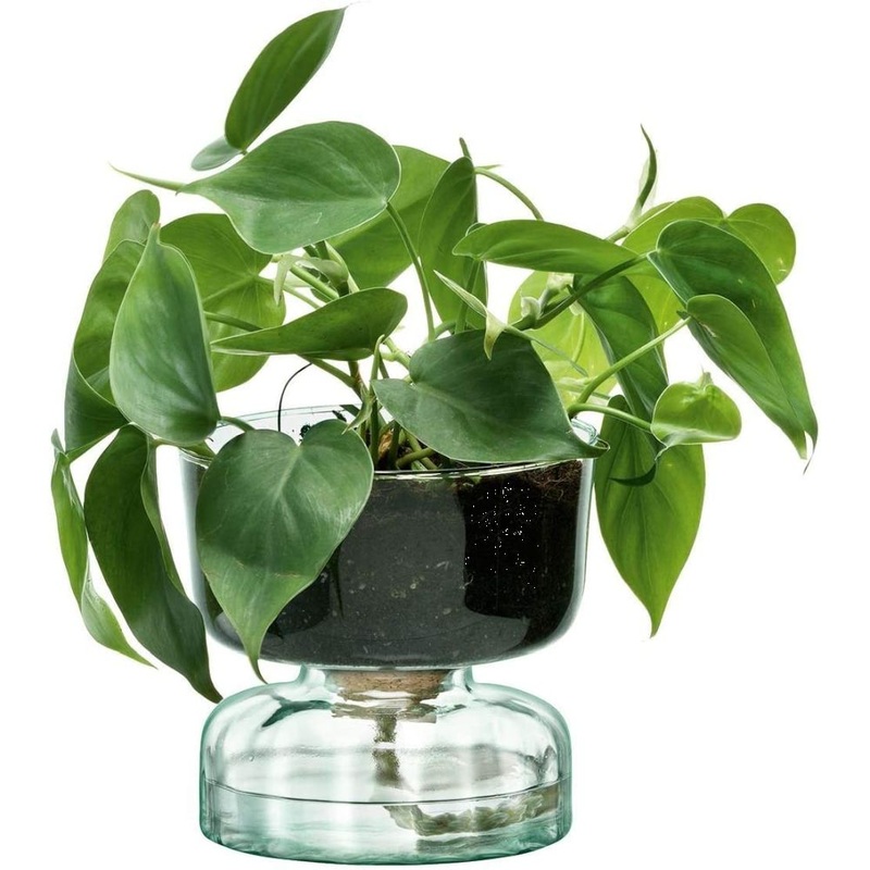 LSA International Canopy Self Watering Planter, H5 inches, Clear/Part Optic