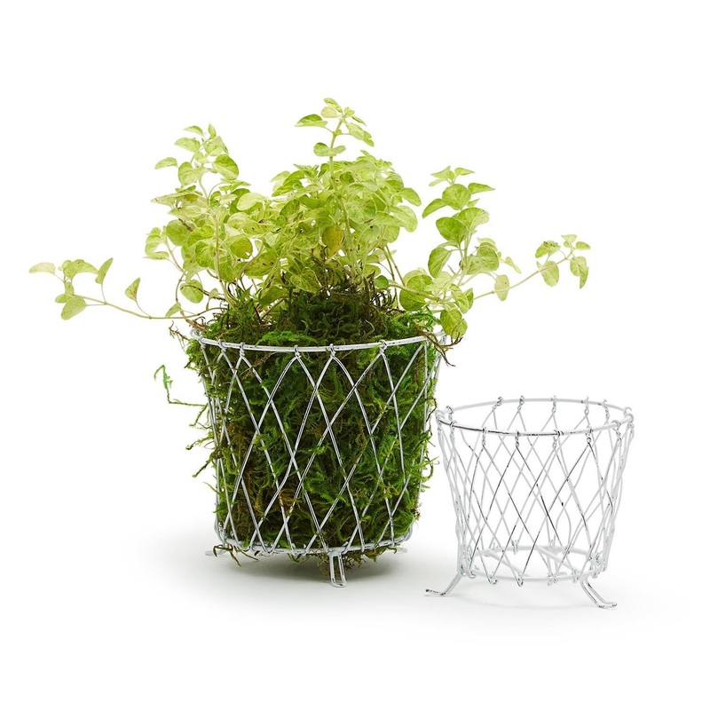 Set Of 2 French Wireworks Pot Basket w/ Antique White Finish Includes 2 Sizes