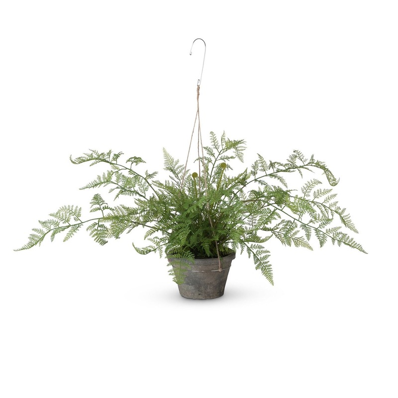 Park Hill Collection Garden Floral Potted Hanging Fern, Large