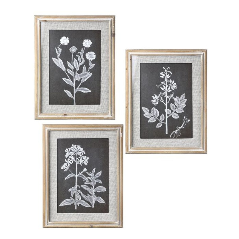Regency International Framed Botanical Print w/ Glass 10X13T S/3 Assortment