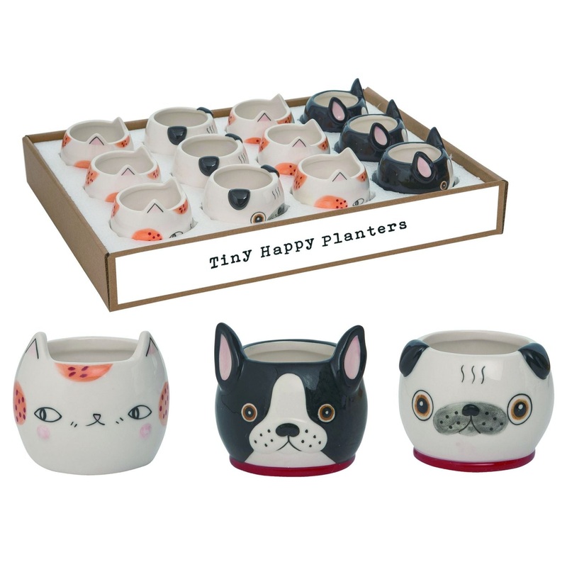 Transpac Ceramic Tiny Happy Planters With Display, Set Of 12