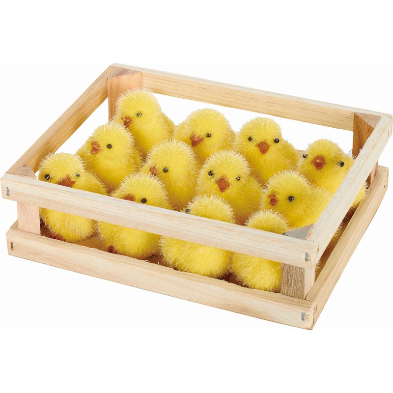 Transpac Mini Resin Fuzzy Chick In Box, Set Of 12