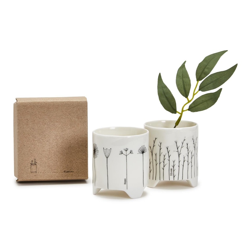 Two’s Company Floral Cachepot In Gift Box Assorted 2 Designs