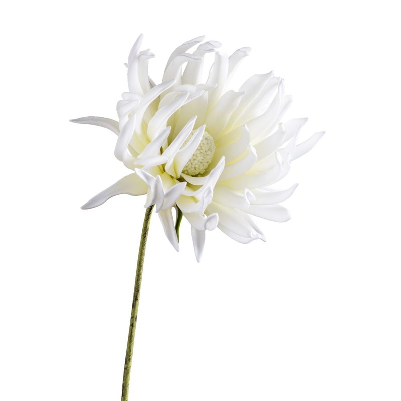 Torre & Tagus Desert Fringe Dahlia 31 Stem